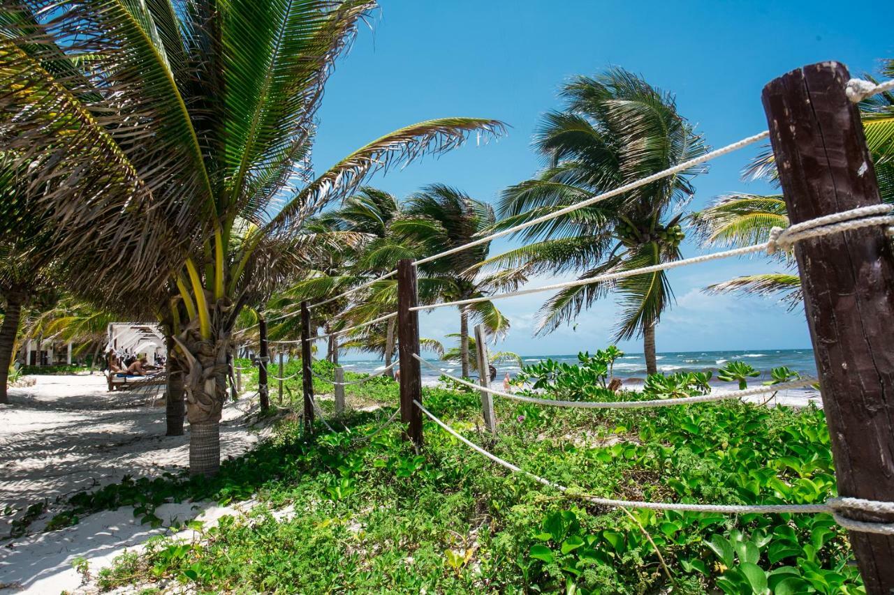 Hotel Cabana Los Lirios Tulum Exteriör bild